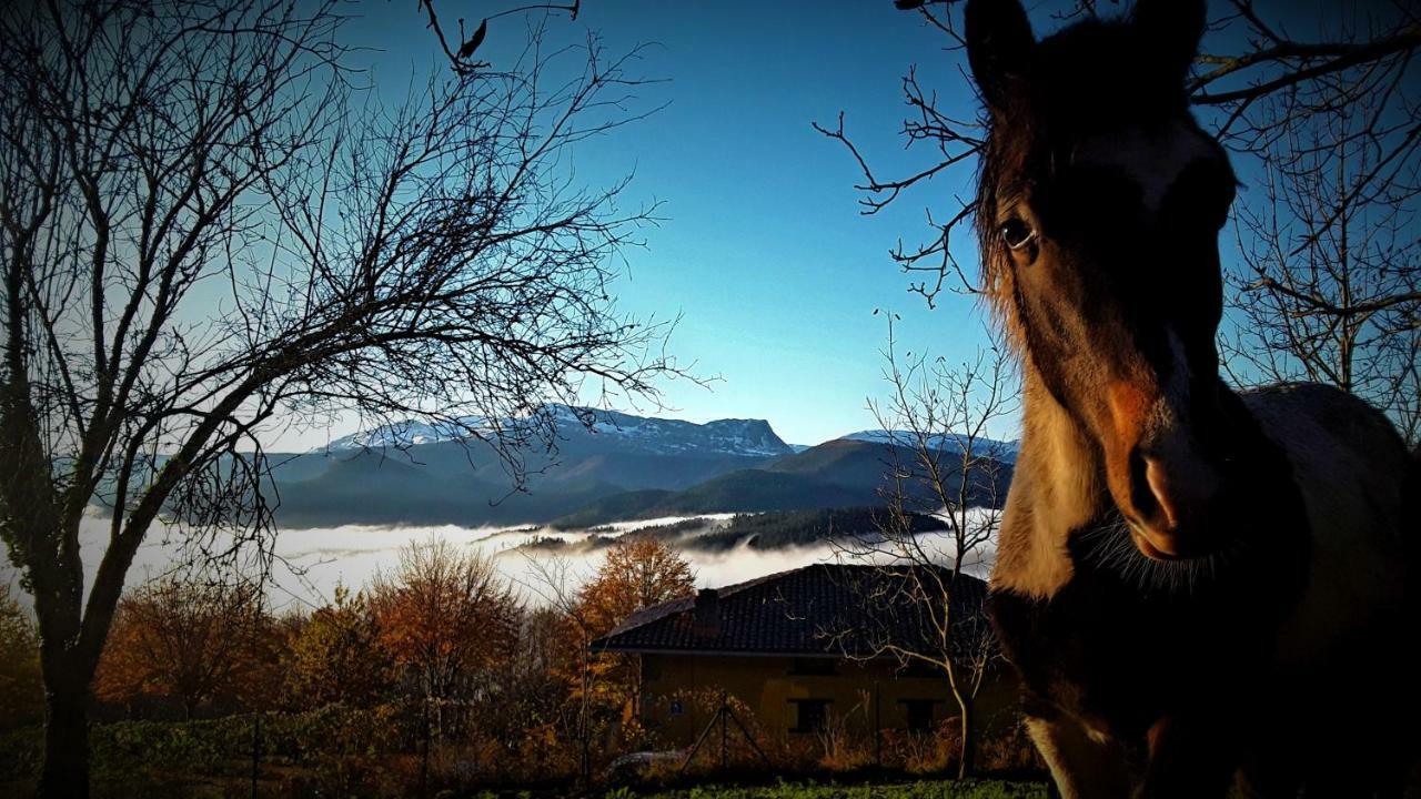 Albergue Mandoia Aterpetxea Arantzazu Exteriér fotografie